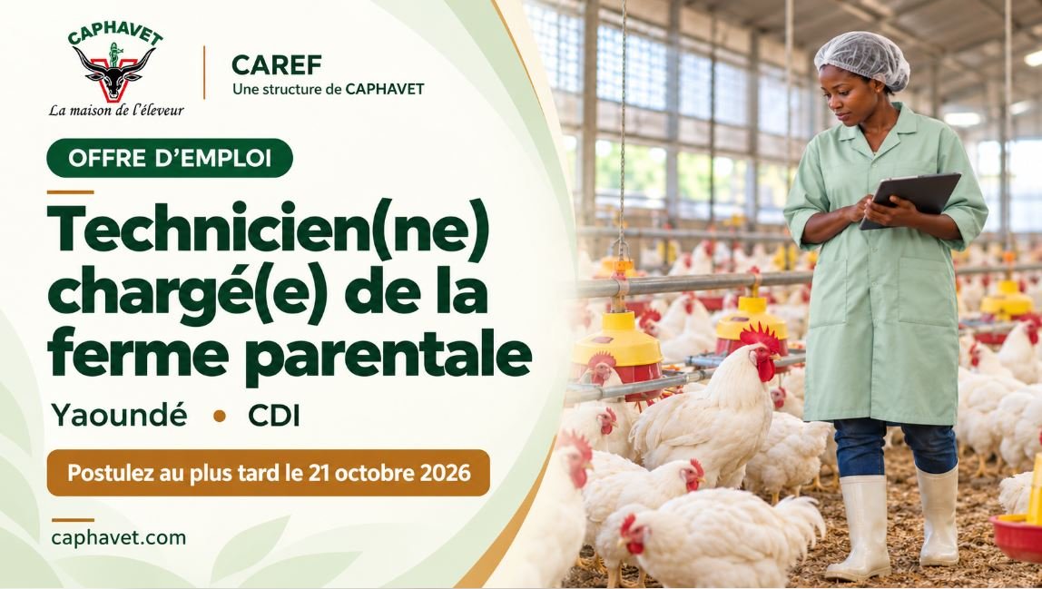 CAREF recrute un(e) technicien(ne) chargé(e) de la ferme parentale à Yaoundé