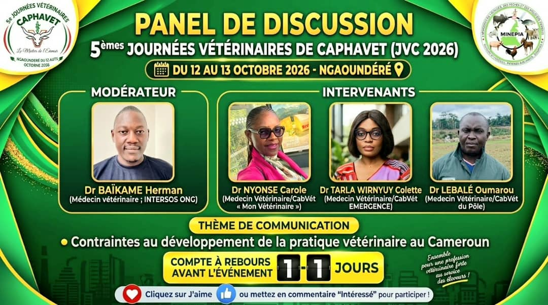 Affiche du panel de discussion des JVC 2026 avec le modérateur Dr Baïkame Herman et les intervenants Dr Nyonse Carole, Dr Tarla Wirnyuy Colette et Dr Lebalé Oumarou