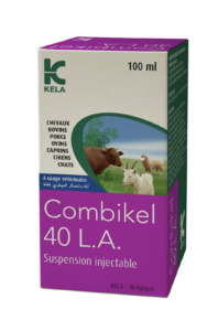 Combikel