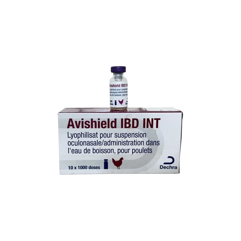 Avishield IBD INT