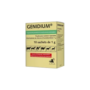 Genidium
