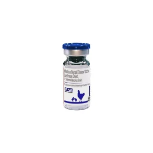 GlobiVac IBD Maxima