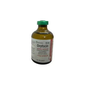 Oxytocin