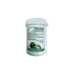Distokel