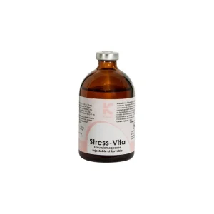 Stress vita